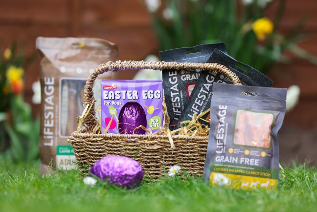 Basket of dog Easter egg and treats.