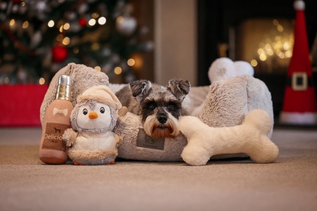 Dog sat in bed surrounded by festive toys.