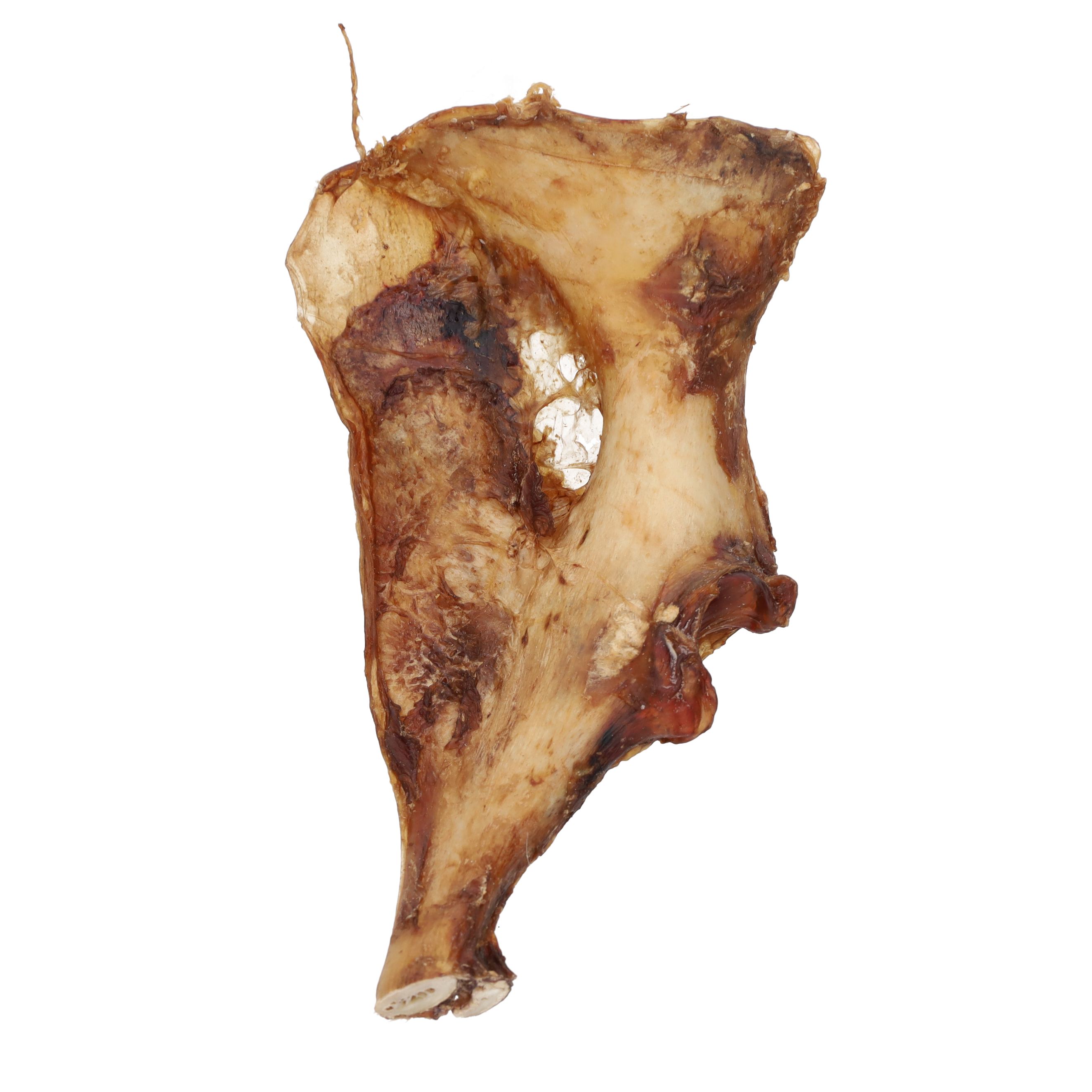 NAW Ostrich Wingbone Dog Treat Single