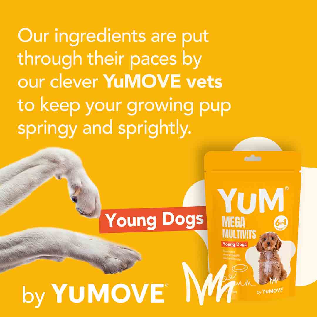 YuCARE Mega MultiVits Supplement for Young Dogs 