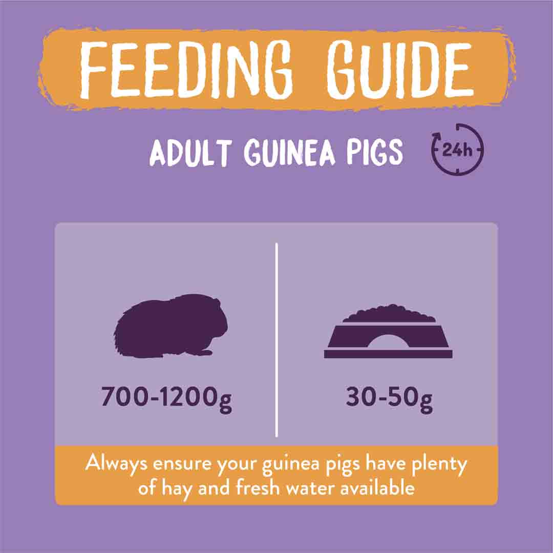 Excel Guinea Pig Food with Blackcurrant & Oregano, 1.5kg