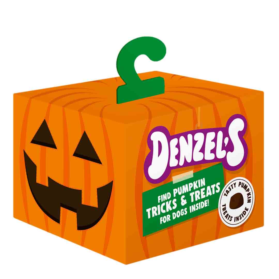 Denzels Pumpkin Tricks & Treats Jack O Lantern for Dogs, 50g