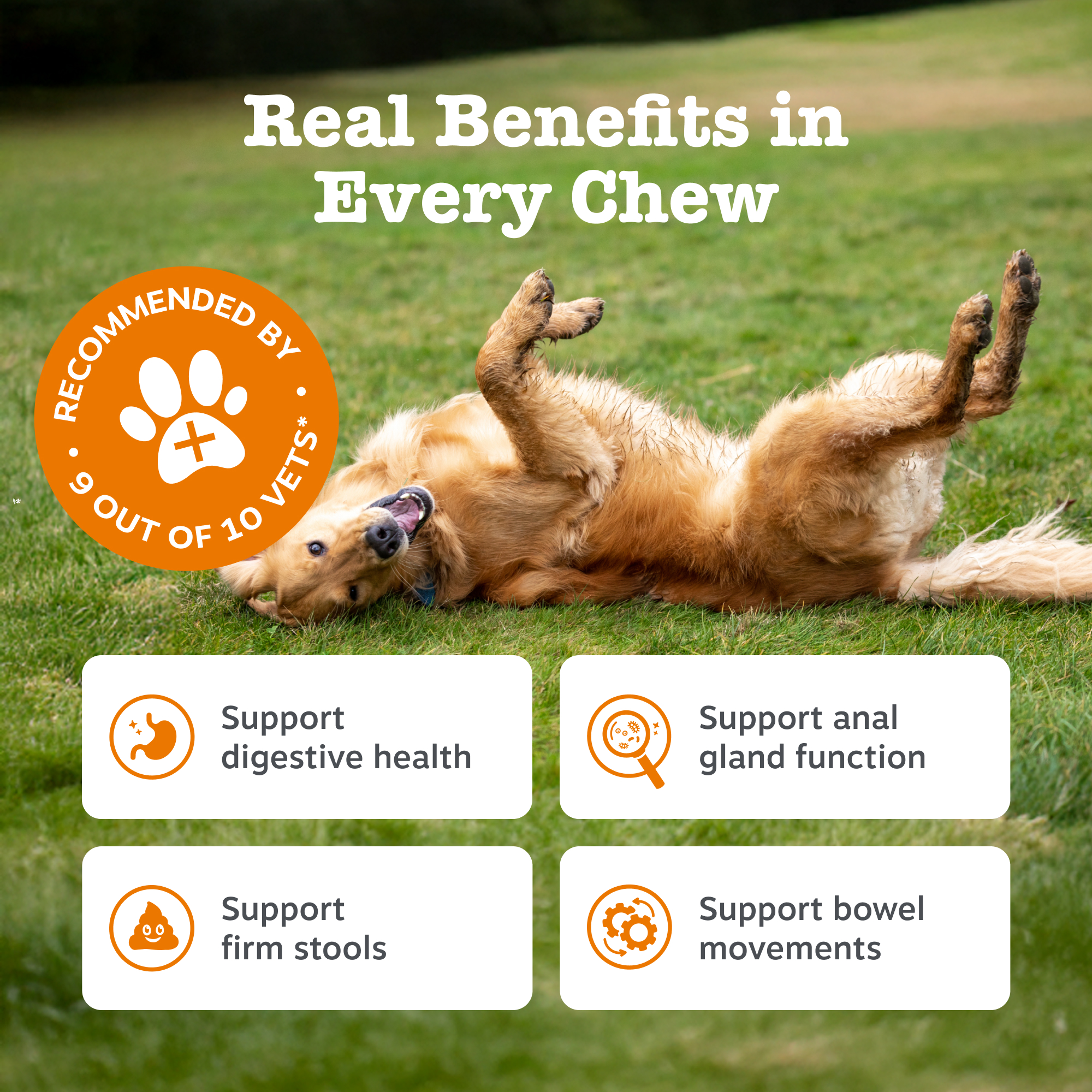 Zesty Paws Scoot Away Chews for Dogs 210g