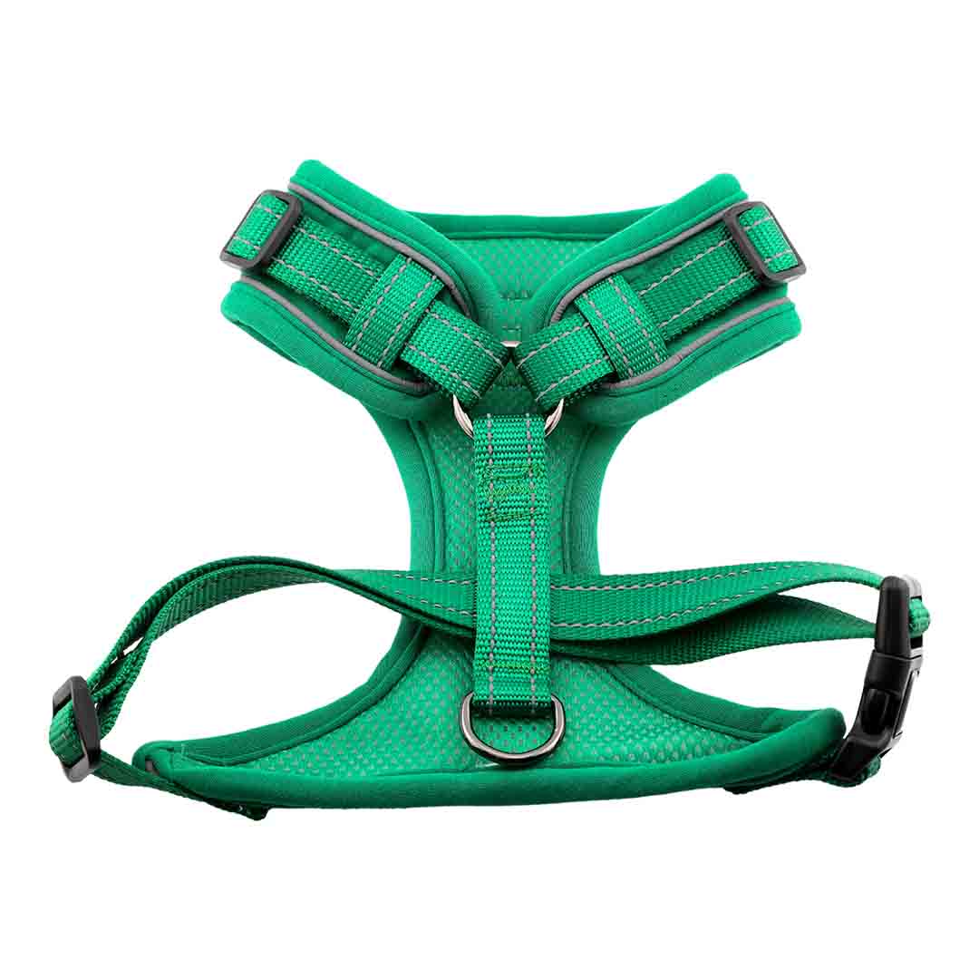 Doodlebone Trendy Tails Stomp Dog Harness Green 4-7