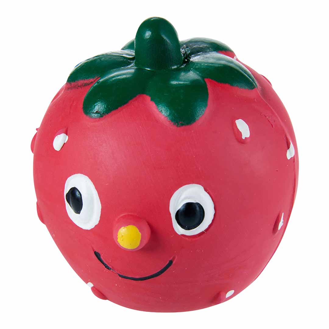 Rufus & Rosie  Latex Dinky Dog Toy