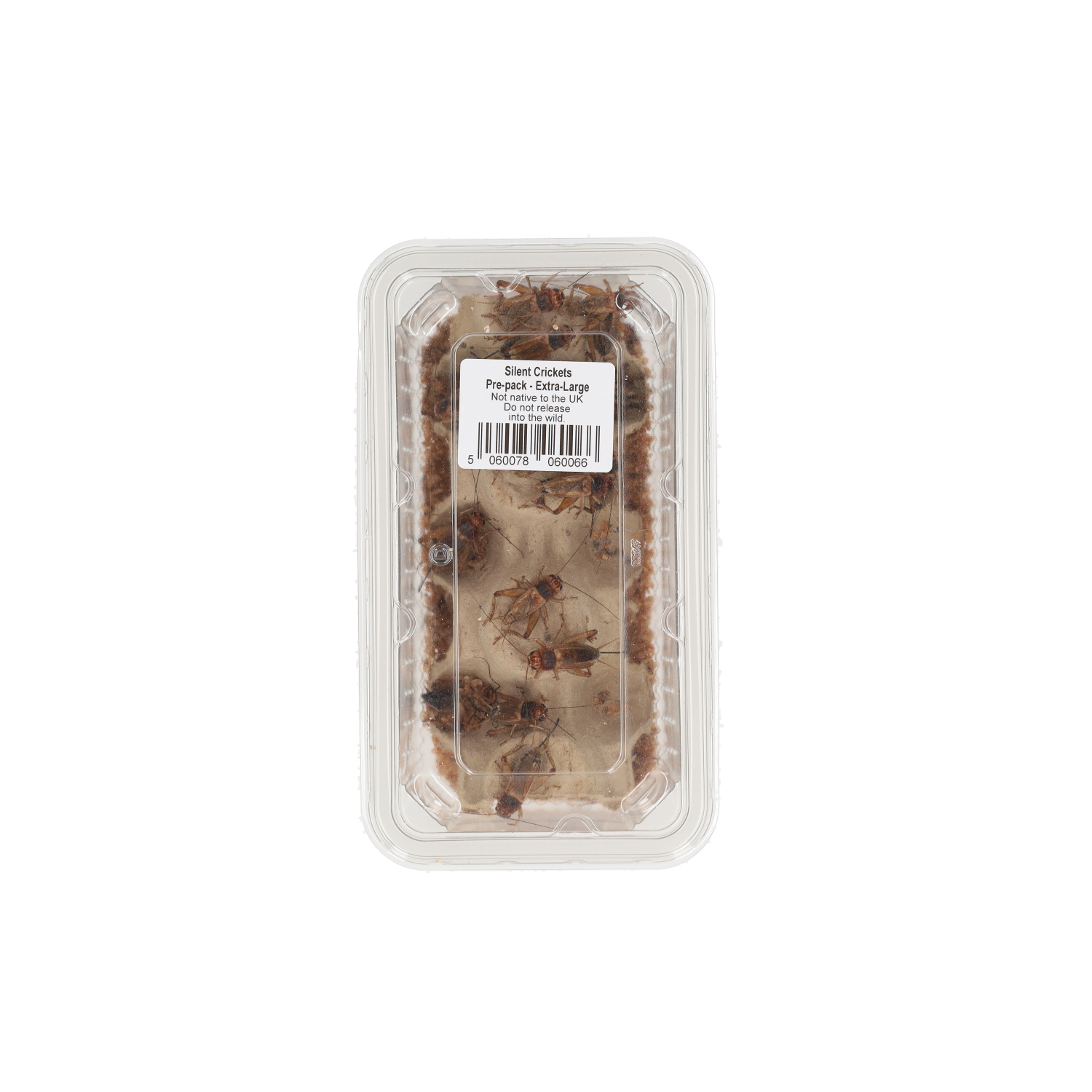 Peregrine Silent Crickets Pre-Pack, Extra-Large