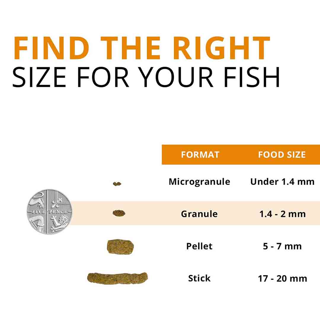 Fluval Bug Bites Goldfish Food Granules, 45g