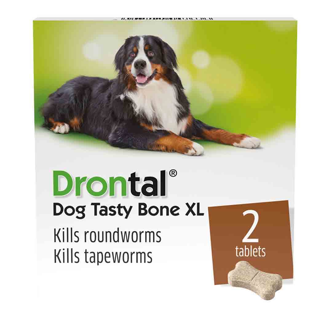 Drontal Plus Extra Large Dog Worming Tablets x 2
