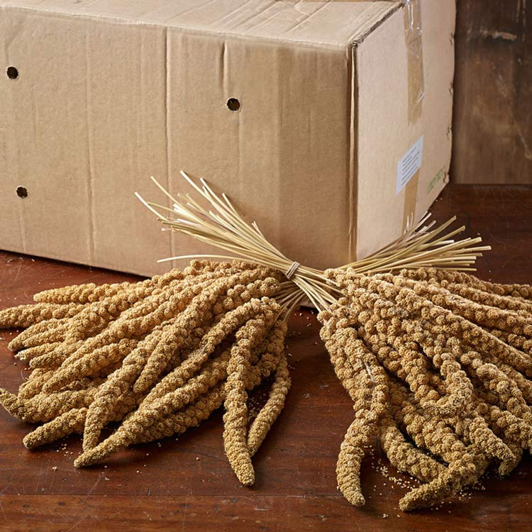 Marriages Millet Spray, Bird Food, 15kg
