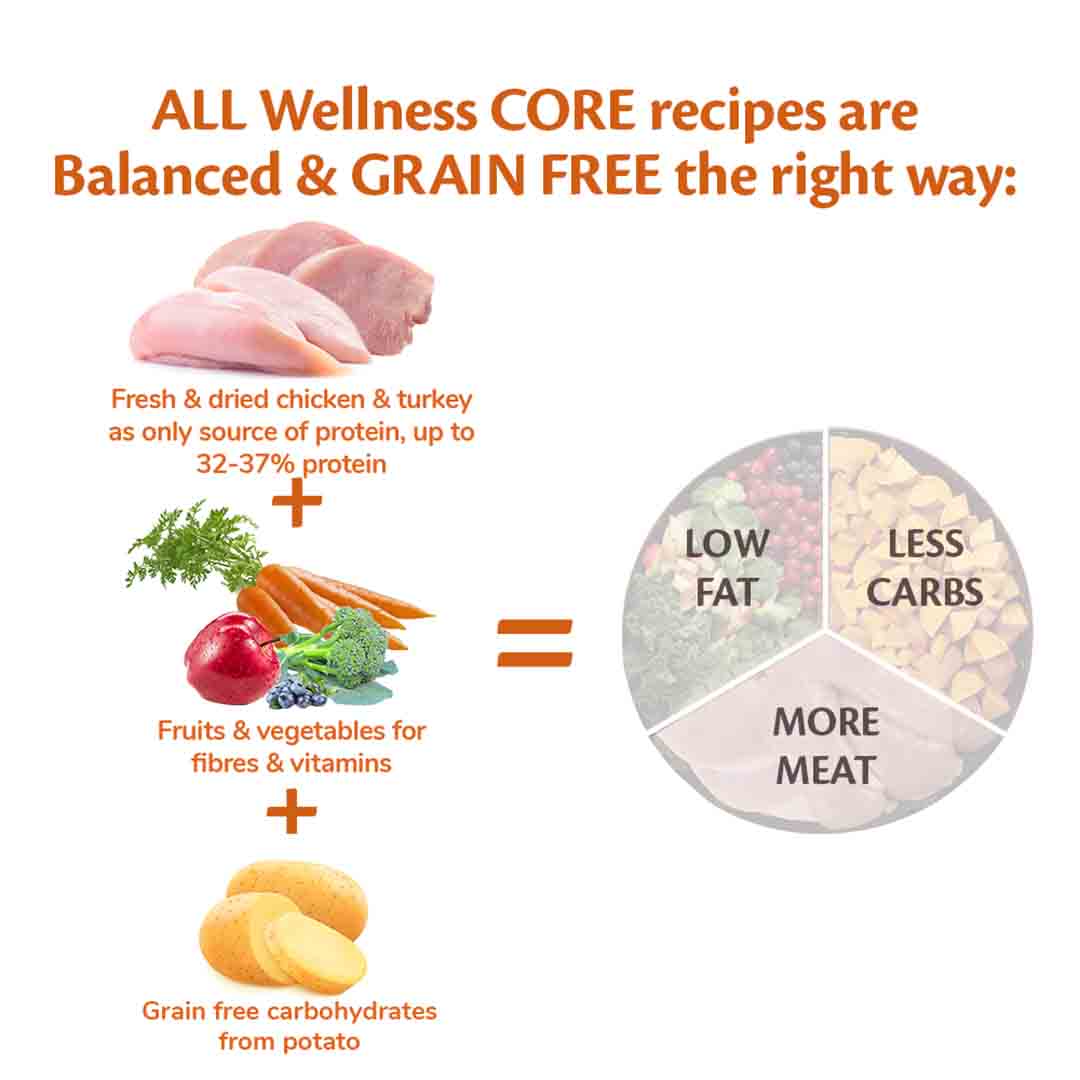 Wellness CORE Dry Senior Dog Food Original Turkey with Chicken Recipe 10kg