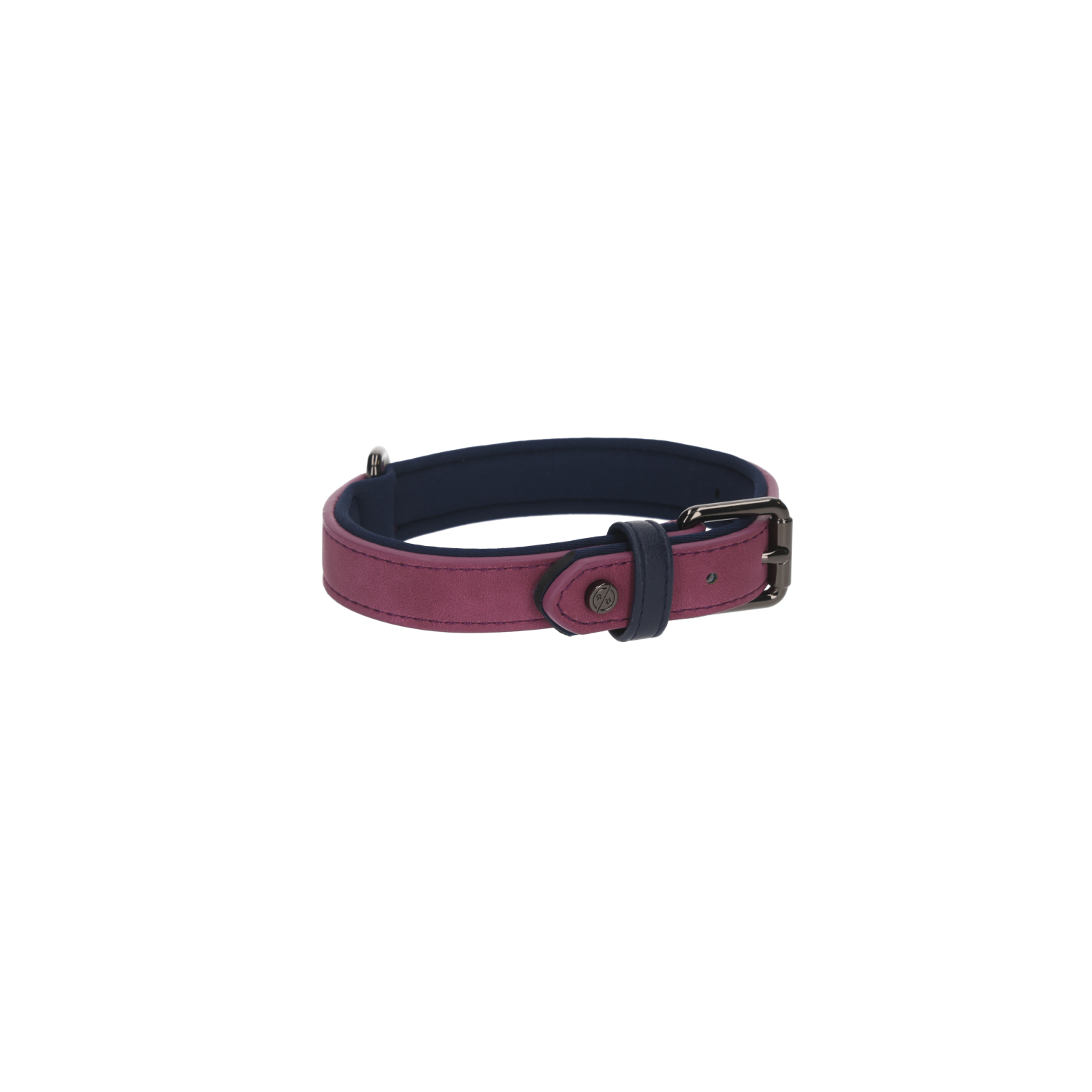 Rufus & Rosie Brights Tech Dog Collar, Large, Purple