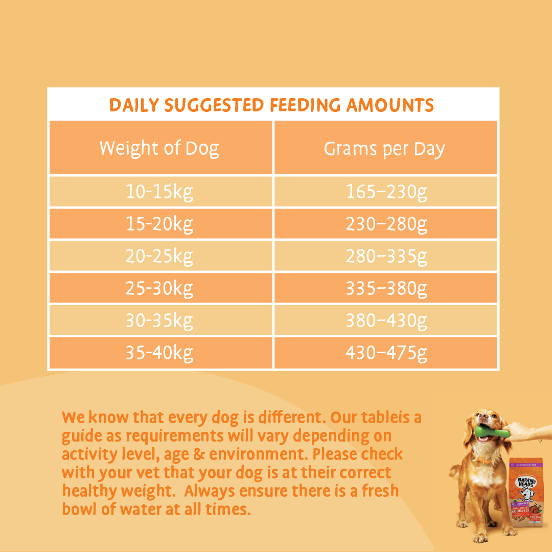 Barking Heads All Hounder Bowl Lickin Goodness Chicken Dry Dog Food, 12kg