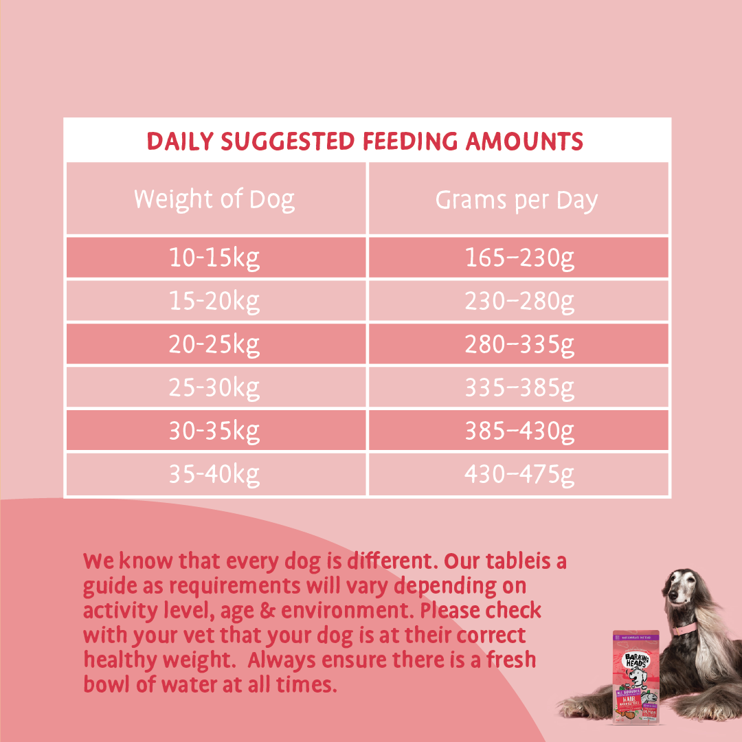 Barking Heads All Hounder Hair Necessities Salmon Dry Dog Food, 12kg