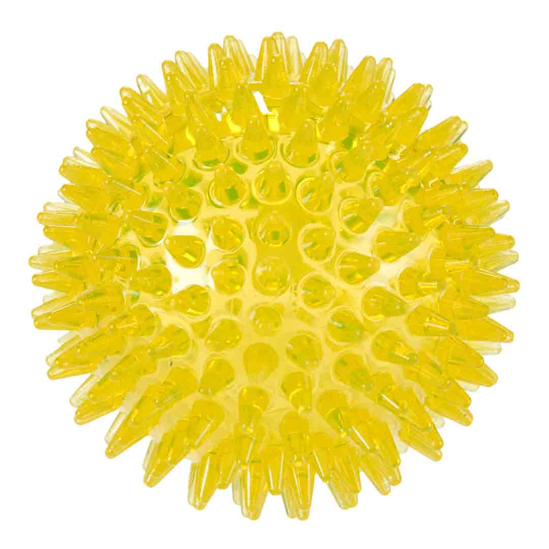 Rufus & Rosie Spikey Ball Dog Toy, Medium