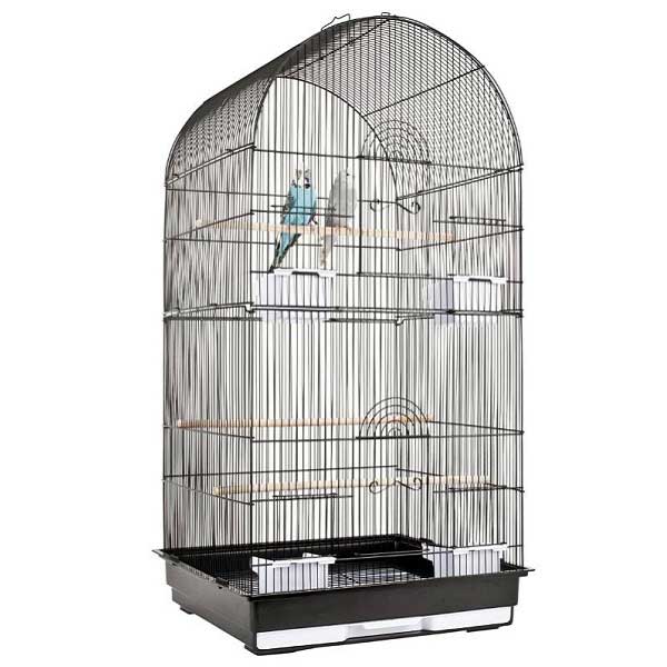 Rainforest Cages Caracus Bird Cage
