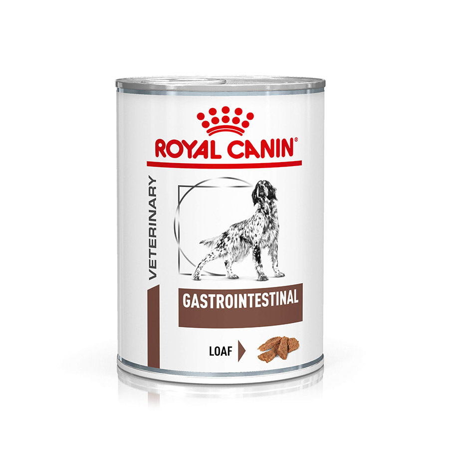 Royal Canin Gastrointestinal Adult Wet Dog Food In Loaf 12x400g