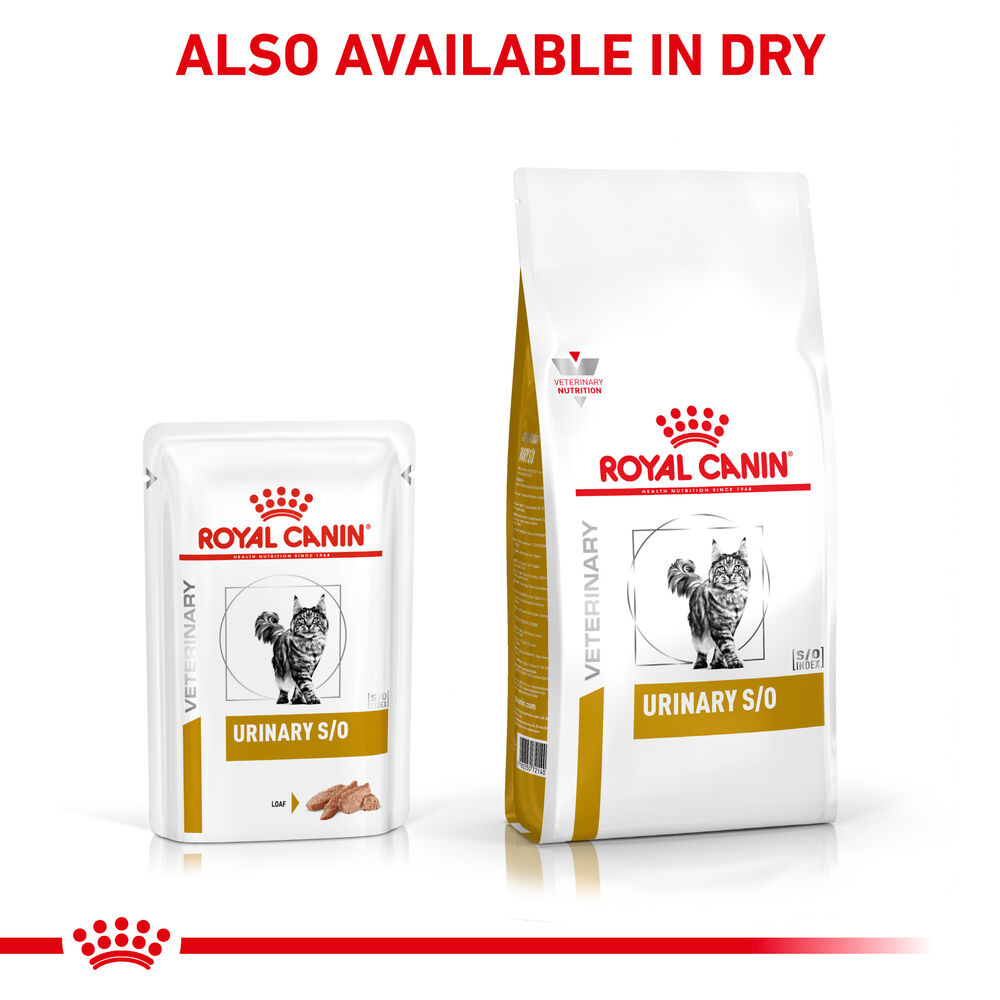 Royal Canin Urinary S/O Adult Wet Cat Food In Loaf 48x85g