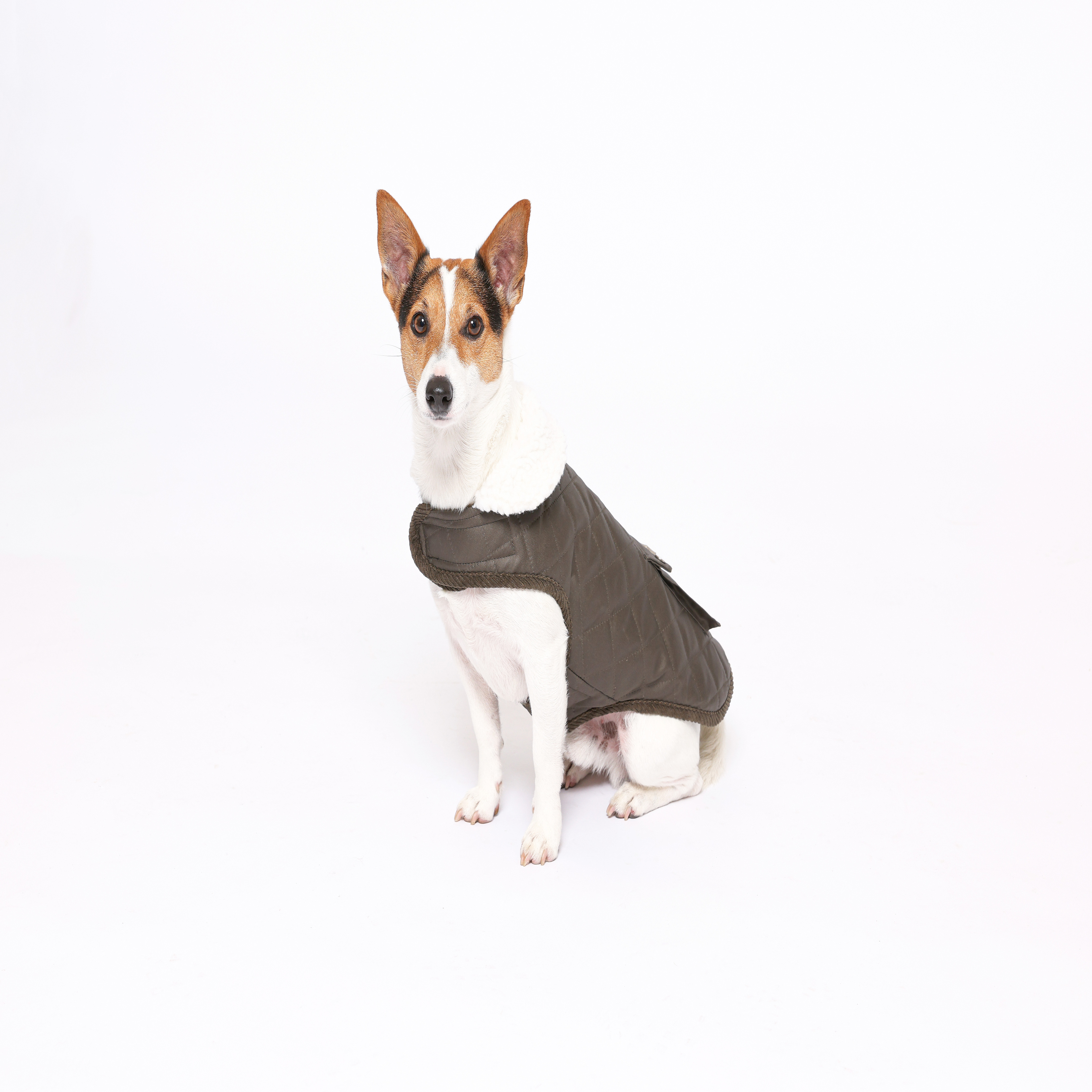 Rufus & Rosie Padded Country Pocket Green, XL