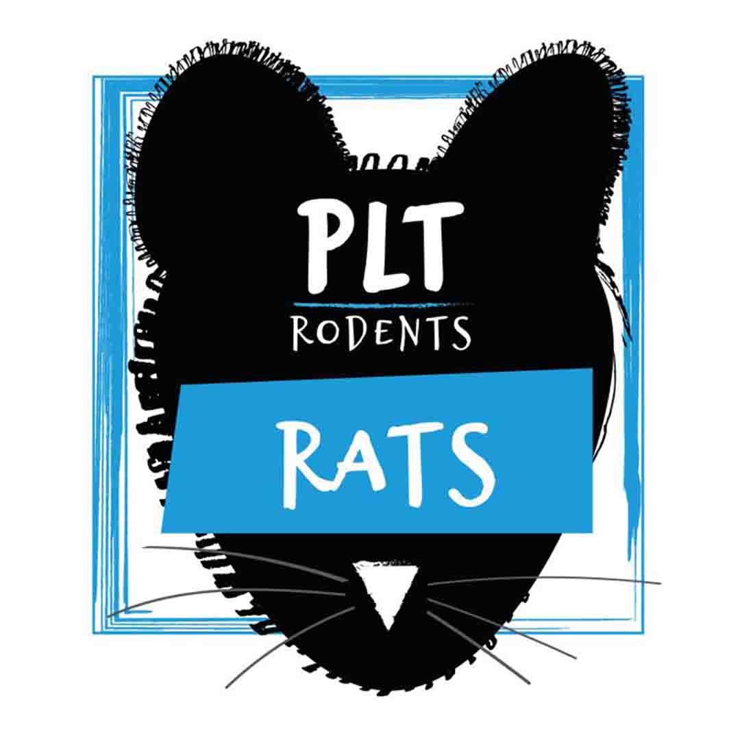 PLT Frozen Rat Medium-Large Reptile Food, 200g x 5 Pack