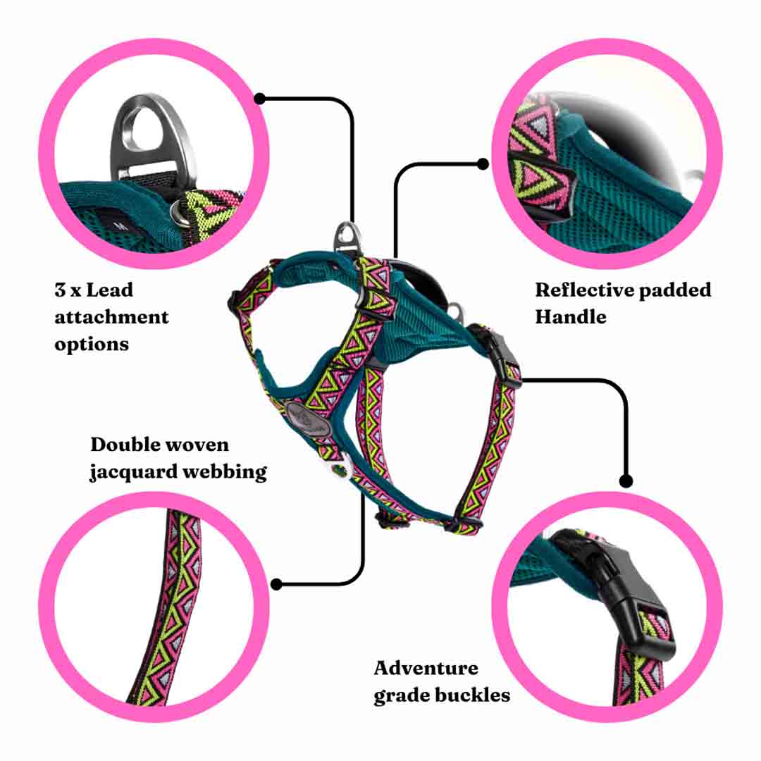 Neerdog Go-B-Bold Airflow Dog Harness-Lantana Large