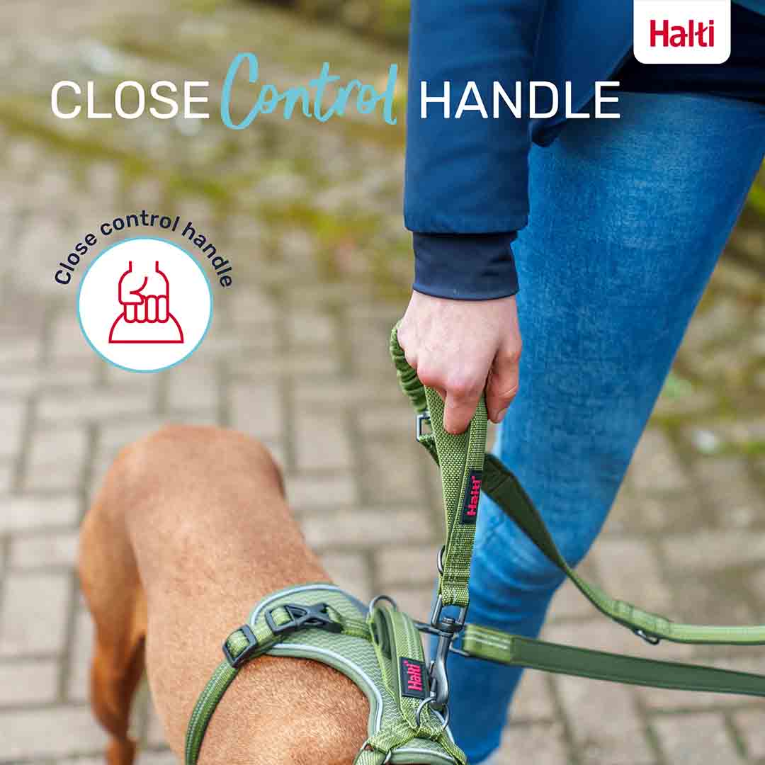 Halti Anatomy Multi Use Dog Lead in Teal, Large