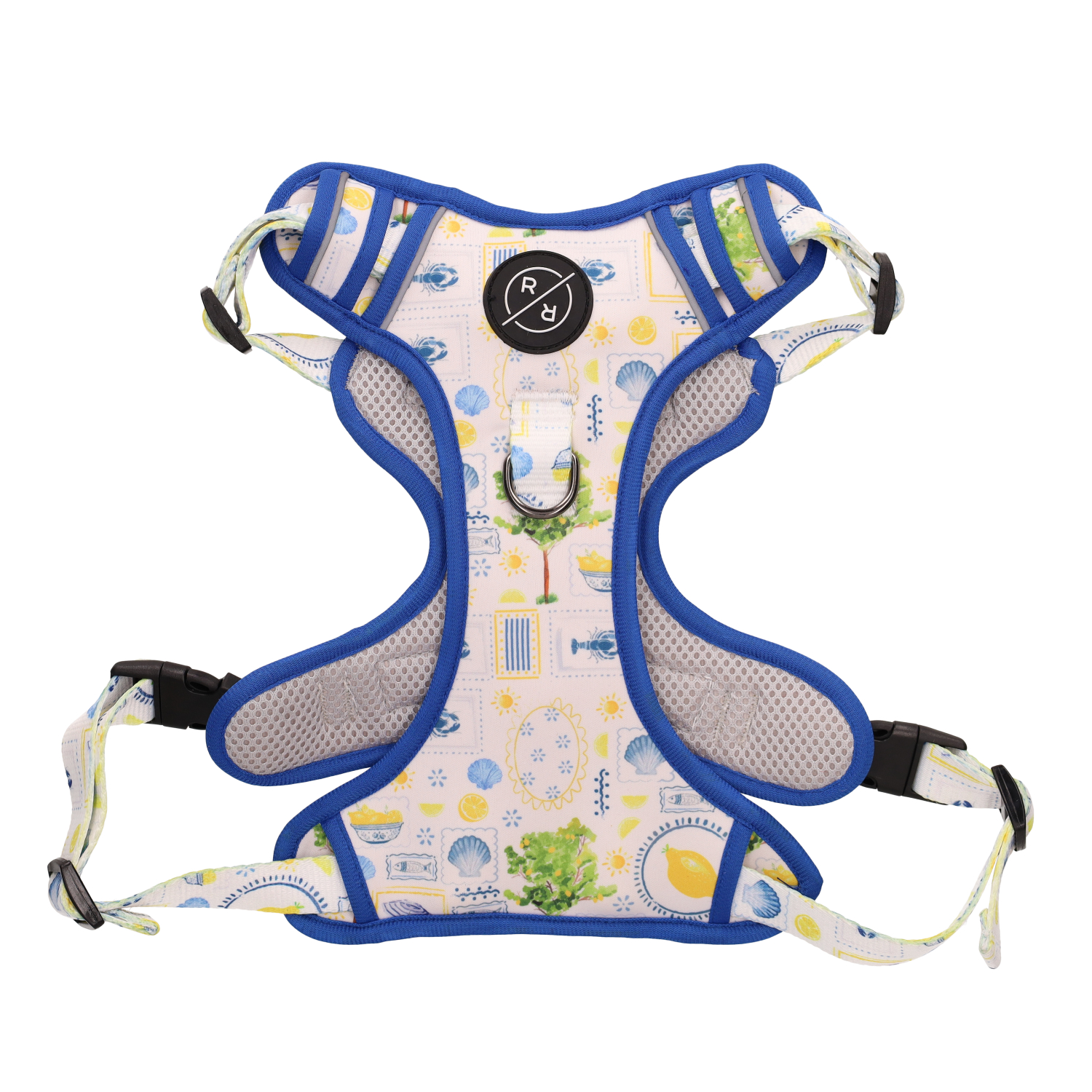 Rufus & Rosie Sunny Lemon Dog Harness & Lead Set Large