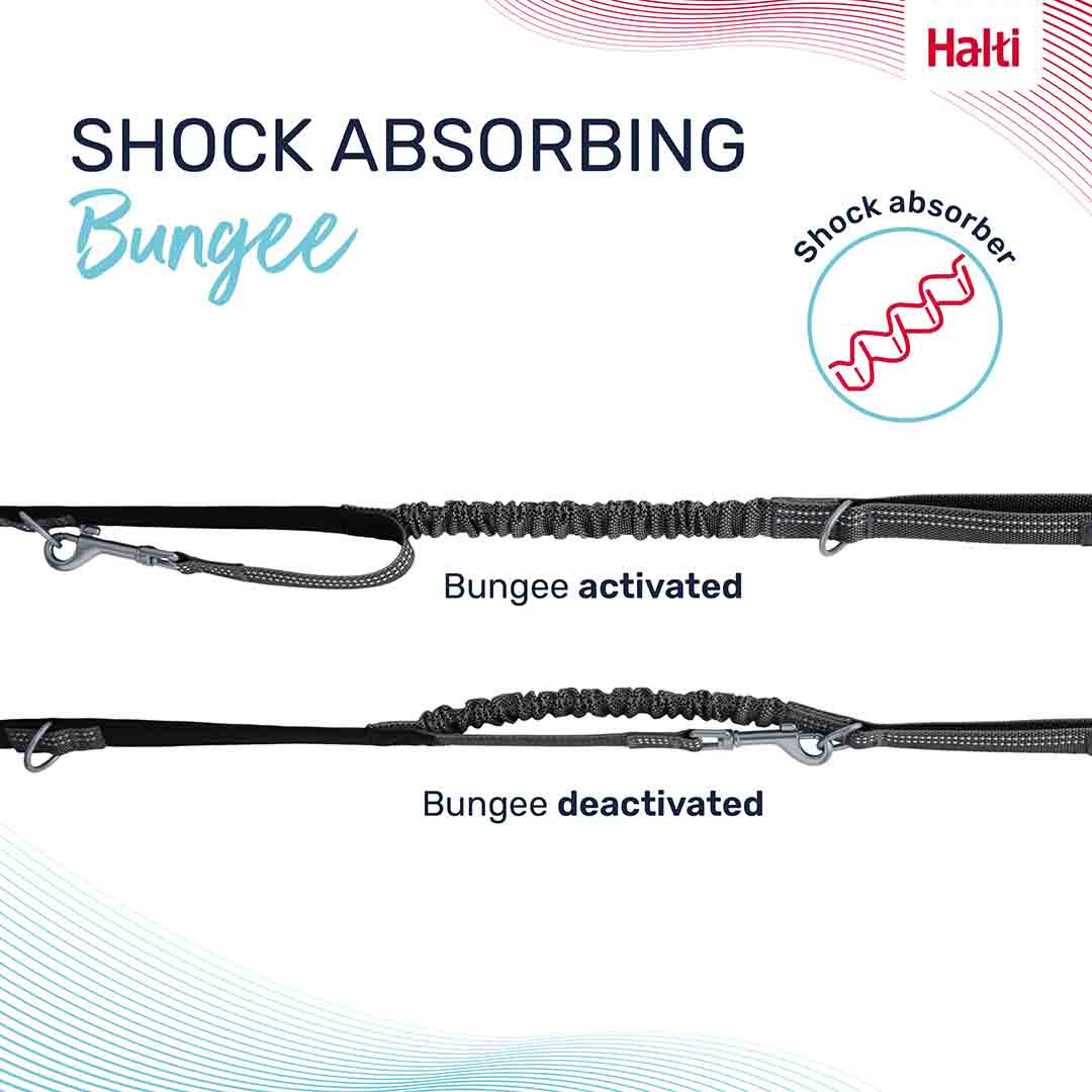 Halti Anatomy Multi Use Dog Lead in Grey, Small
