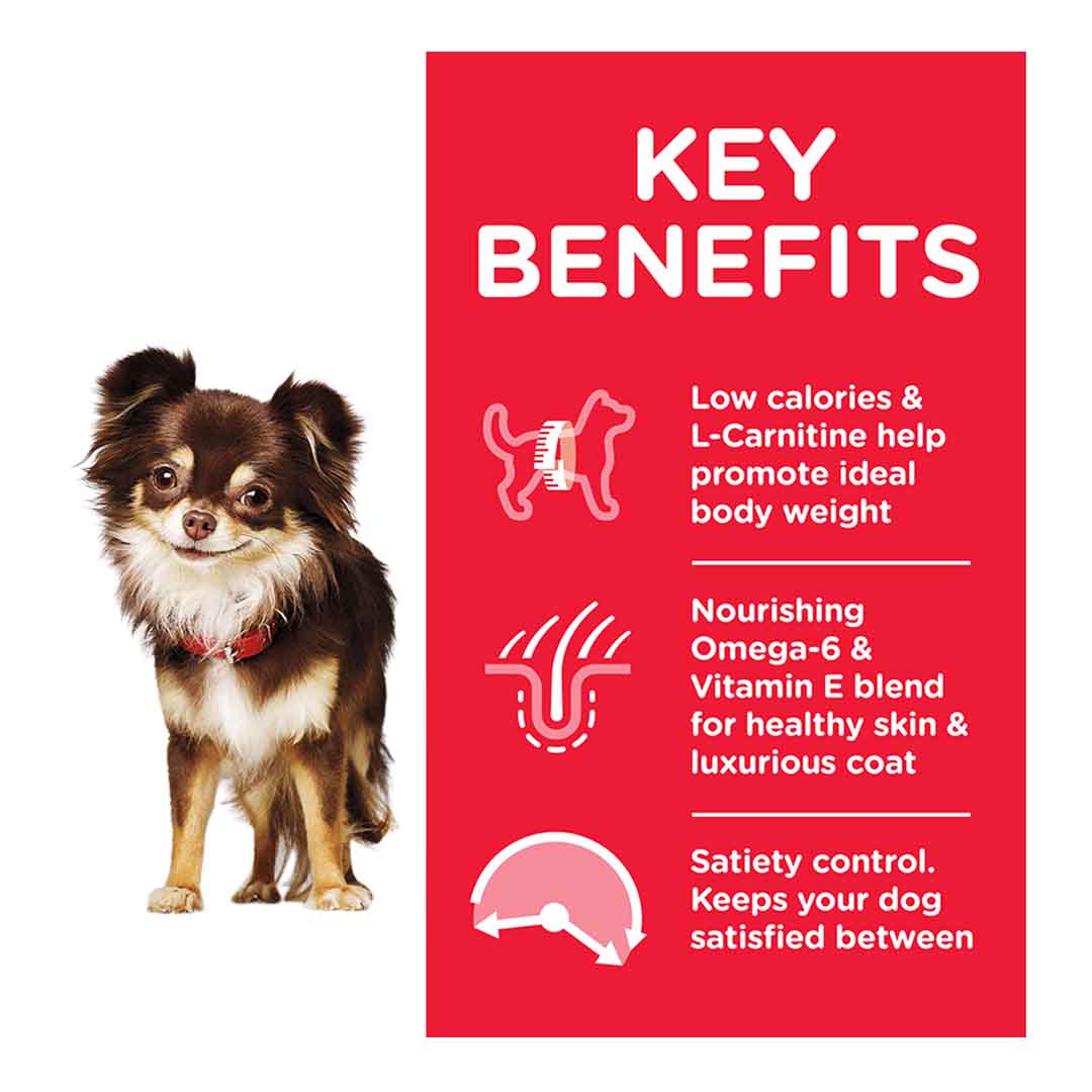 Hill's Science Plan Adult Light Small & Mini Dry Dog Food Chicken Flavour 1.5kg 