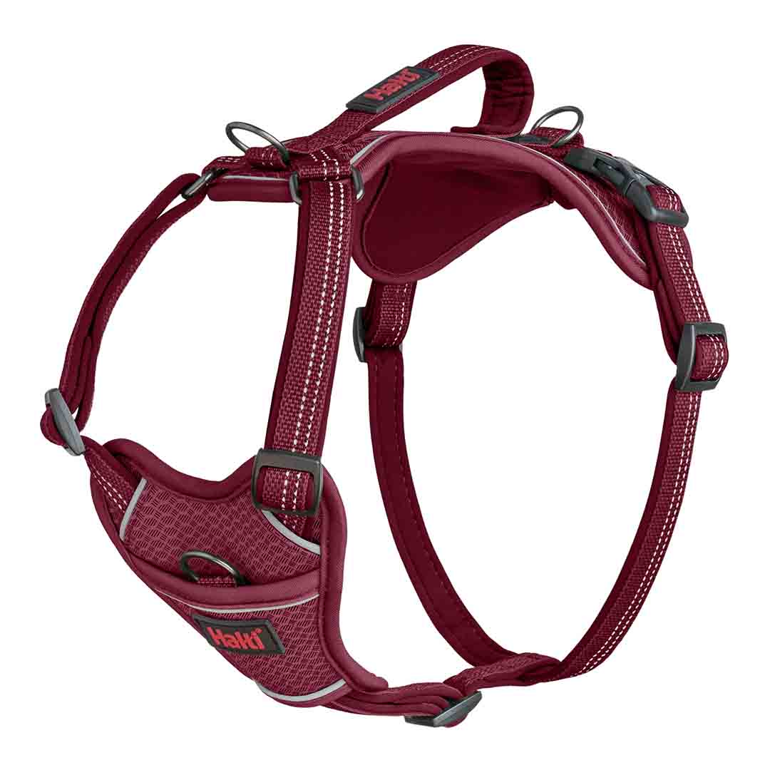 Halti Anatomy Dog Harness Magenta Medium