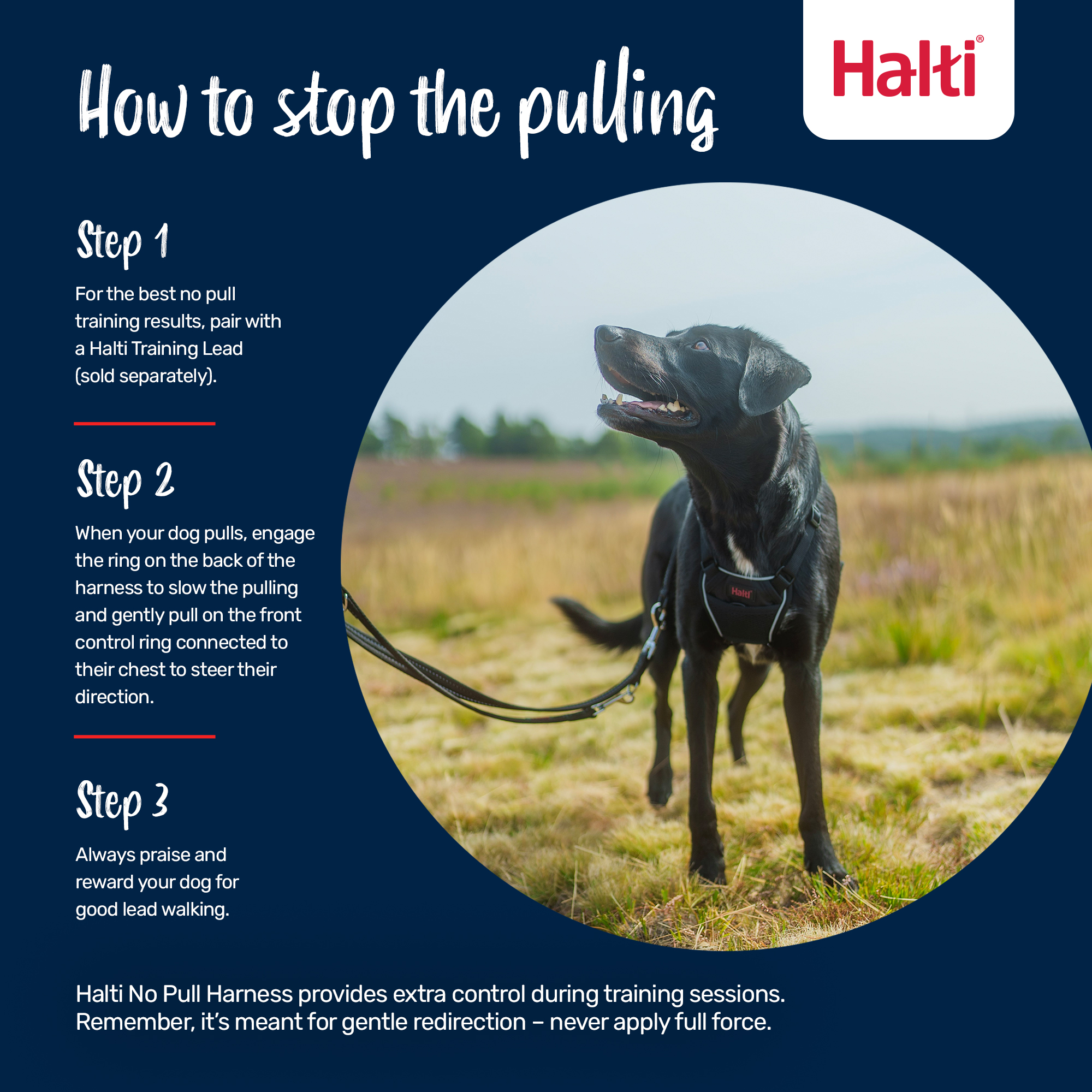 Halti No Pull Dog Harness Black Small