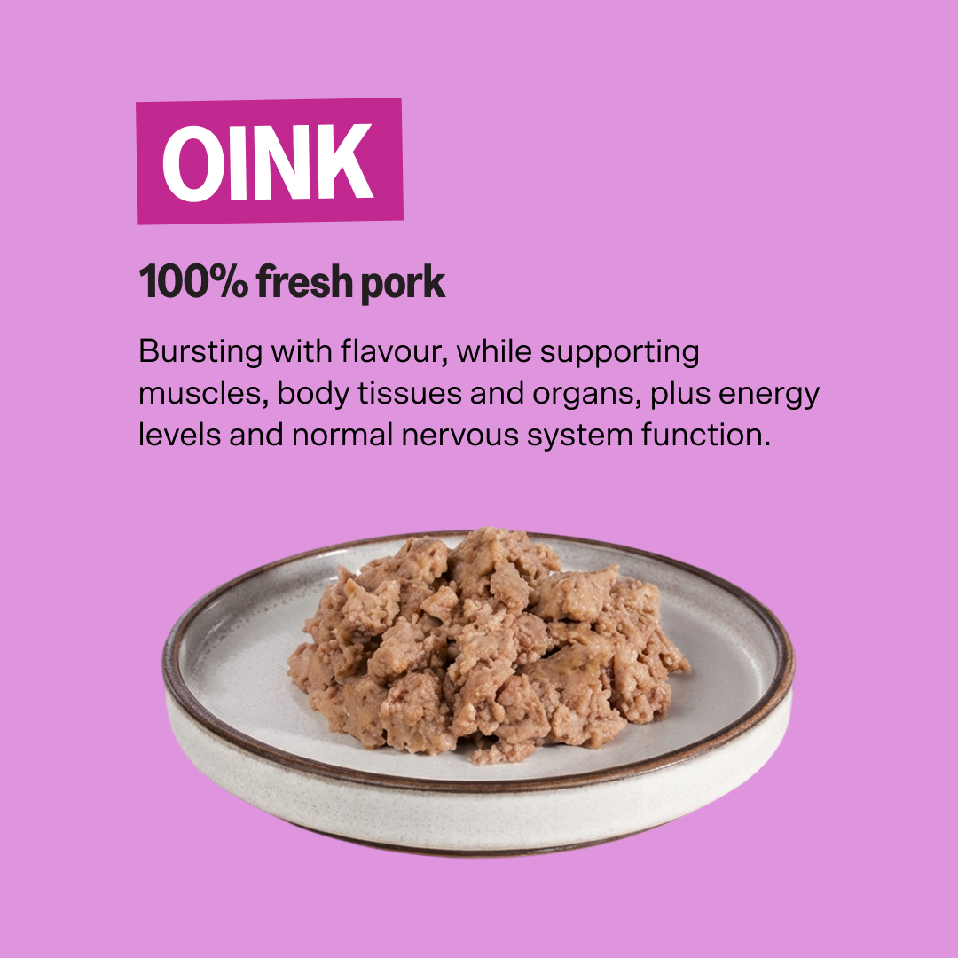 KatKin OINK Fresh Cat and Kitten Food (Pork) 1x80g
