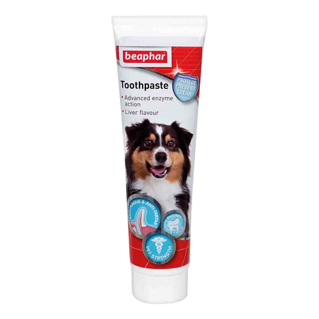 Beaphar Advanced Liver Toothpaste for Dogs & Cats, 100g