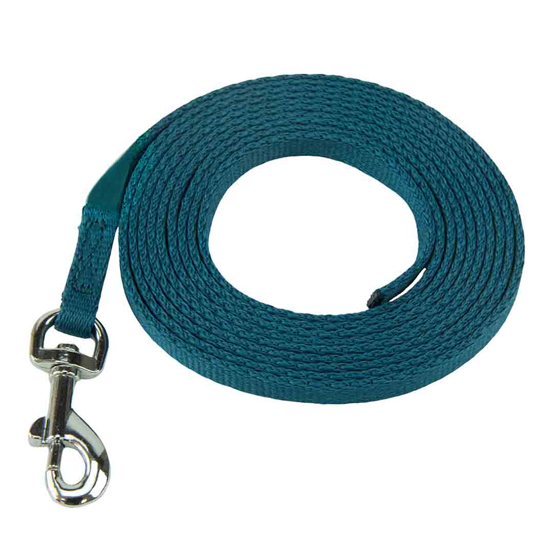 Coachi Puppy & Mini Training Line Teal