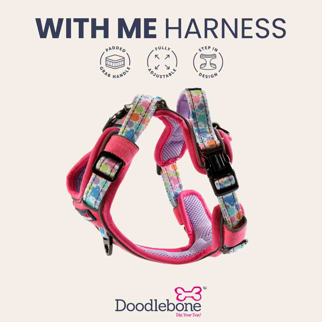 Doodlebone 'With Me' Dog Harness Pink 6-9