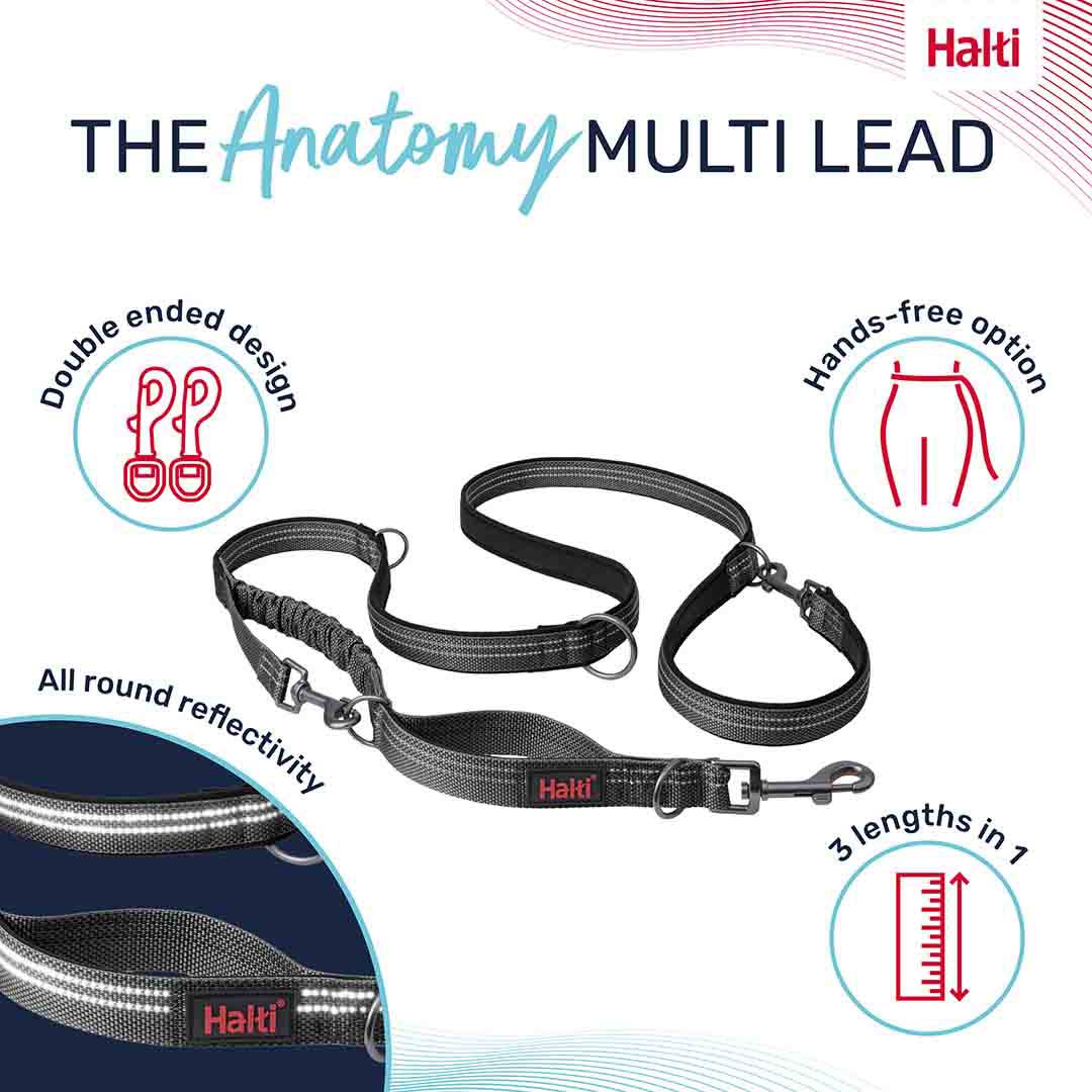 Halti Anatomy Multi Use Dog Lead in Grey, Small