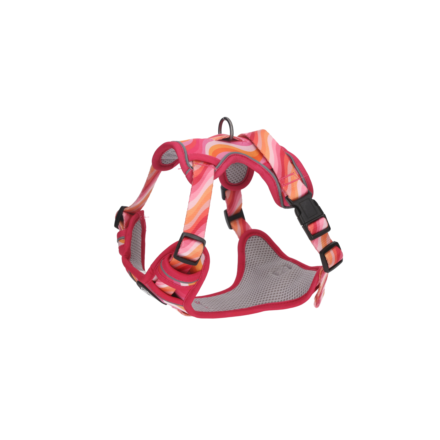 Rufus & Rosie Dog Harness & Lead Set Orange, Medium