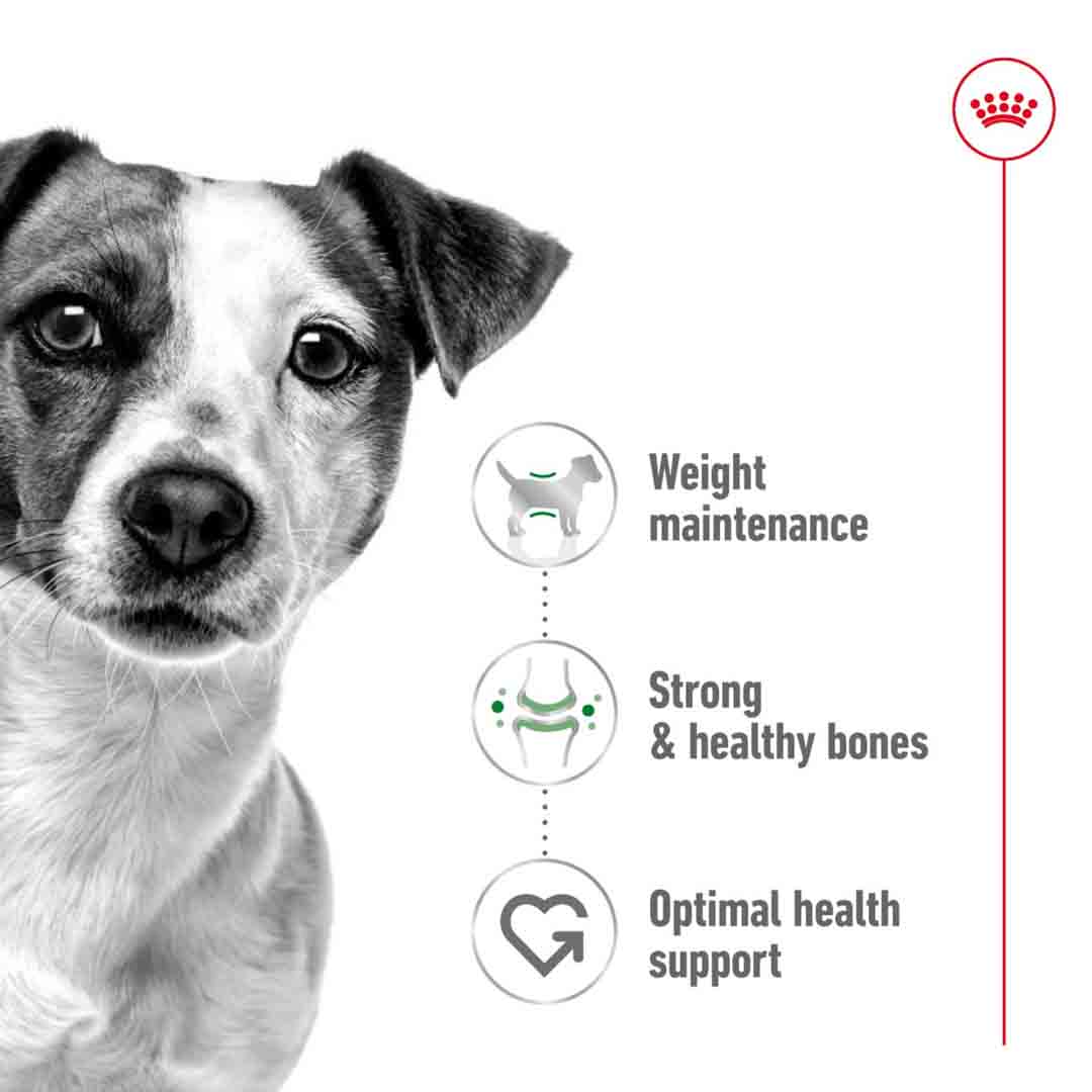 Royal Canin Dry Dog Food Mini Adult 2kg