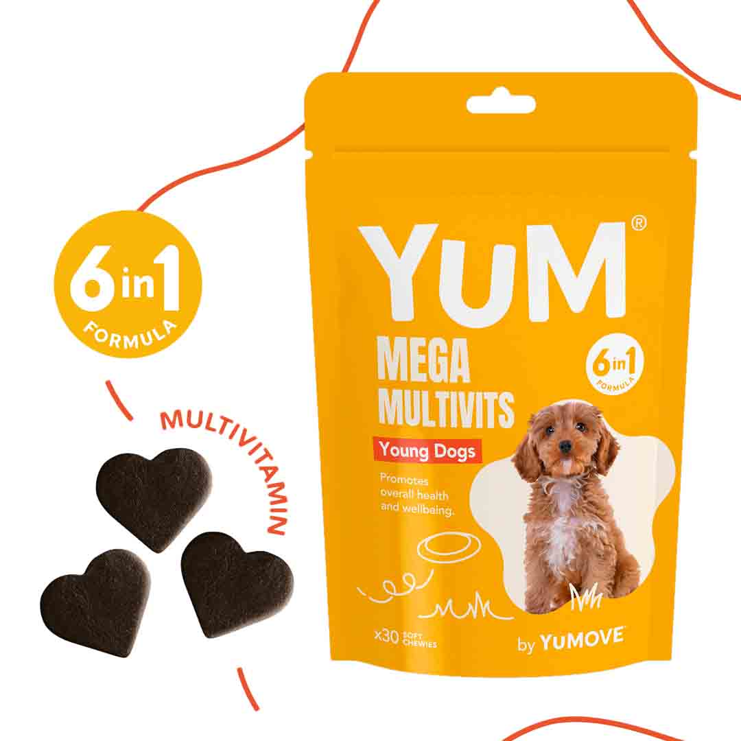 YuCARE Mega MultiVits Supplement for Young Dogs 