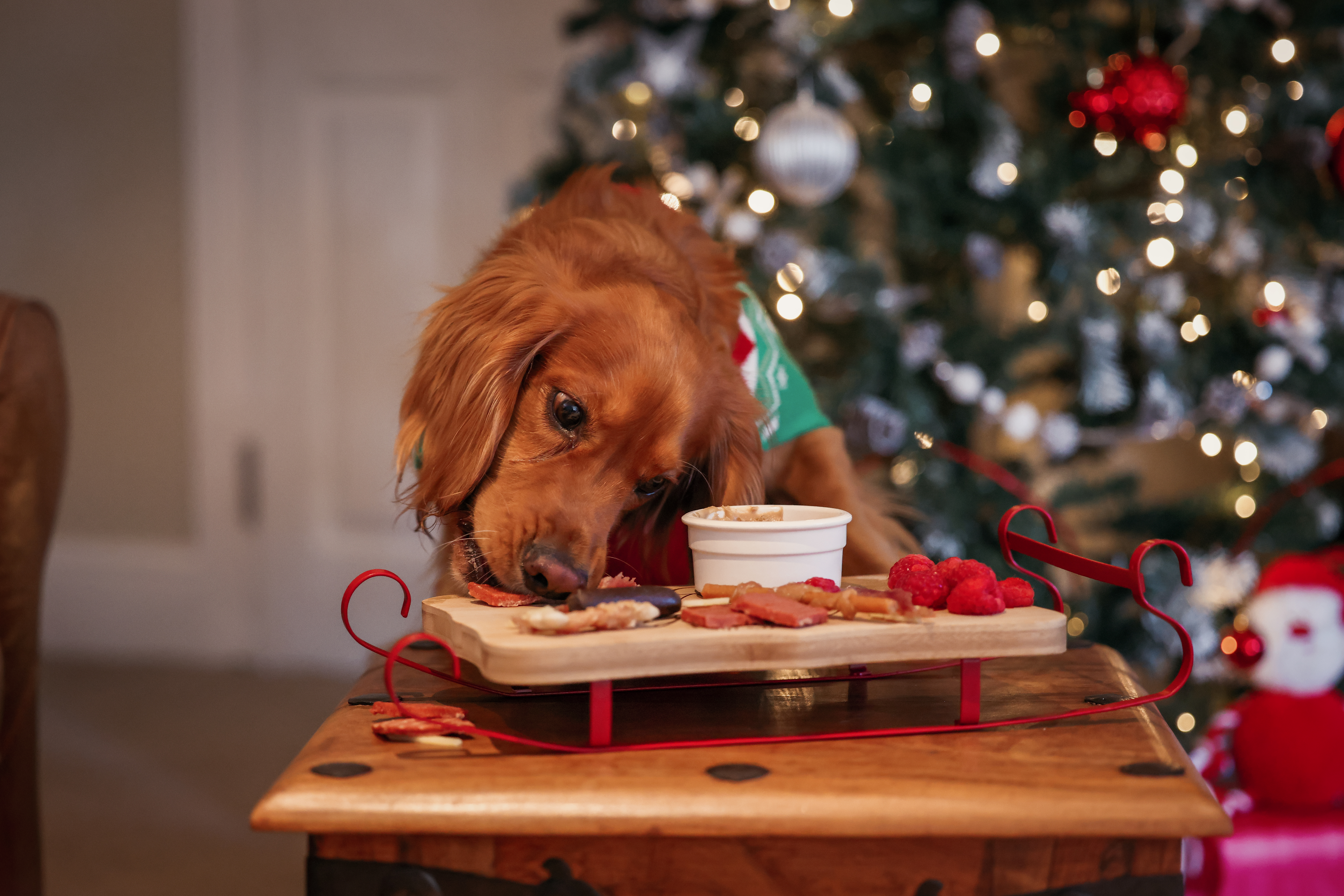 Dog eating treats off charcuterie board.