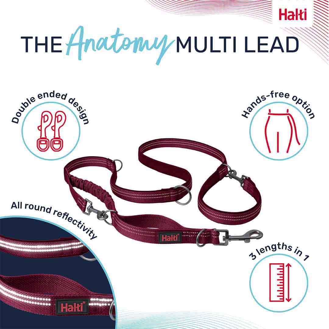 Halti Anatomy Multi Dog Lead Magenta Small