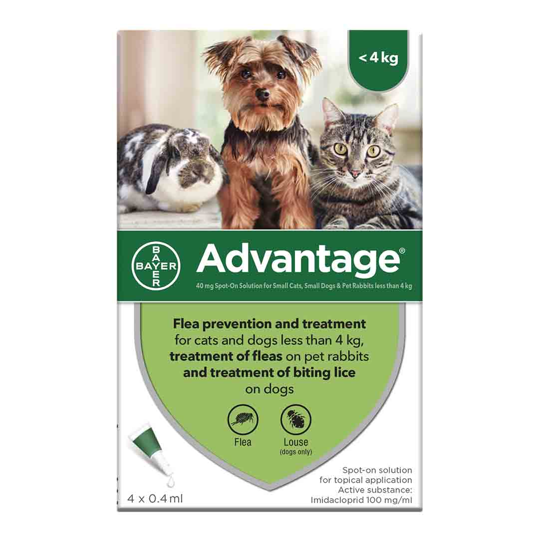 Advantage Spot-On 40 Flea Treatment for Small Cats, Dogs & Rabbits under 4kg, 4 Pippets