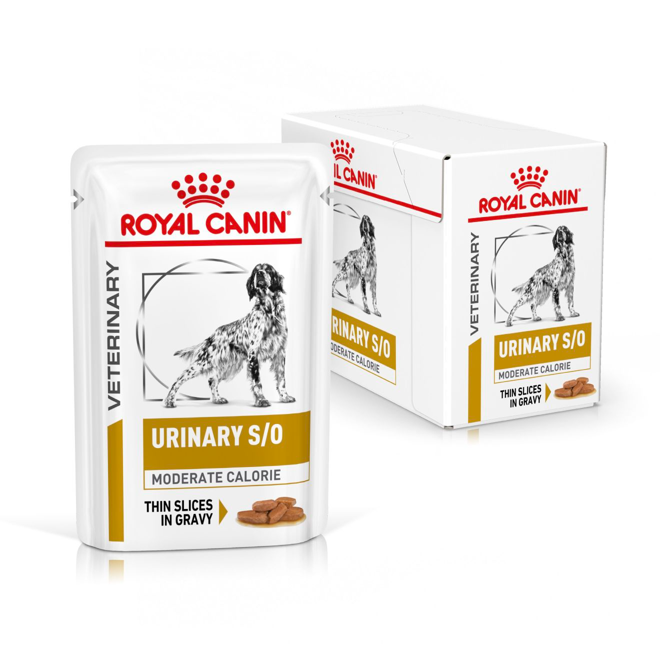 Royal Canin Urinary S/O Moderate Calorie Adult Wet Dog Food Thin Slices In Gravy 48x100g
