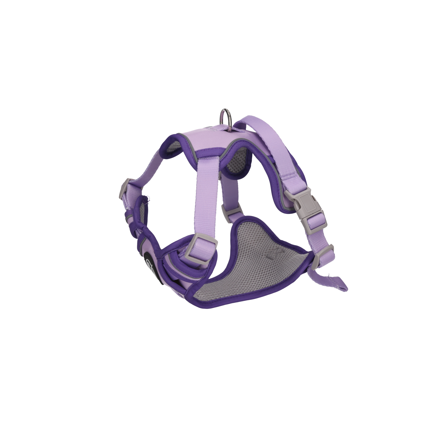 Rufus & Rosie Lilac Dog Harness & Lead Set, Extra Small