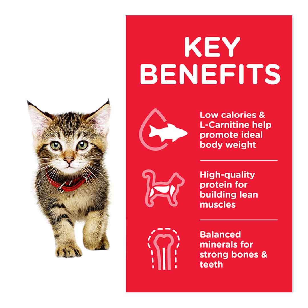 Hill's Science Plan Kitten Dry Cat Food Chicken Flavour 1.5kg