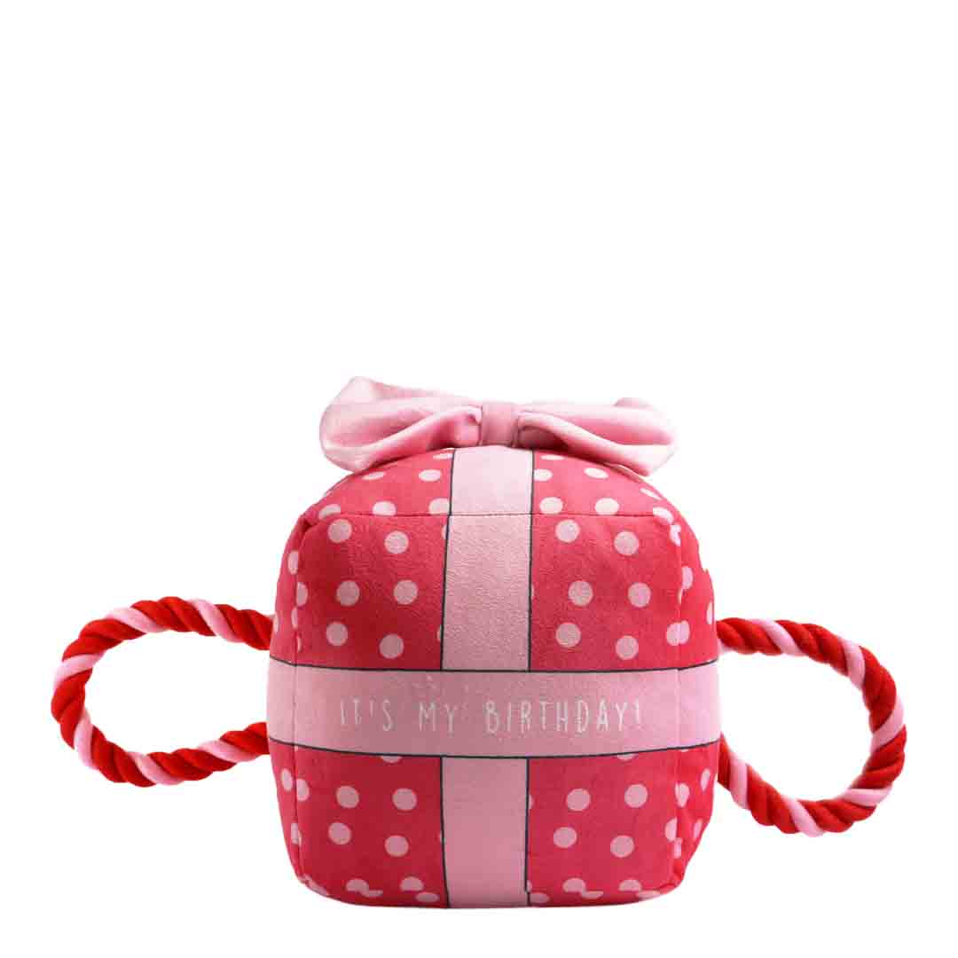 Ancol Birthday Present Dog Toy Large
