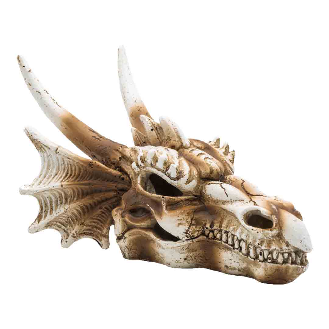  ProRep Dragon Skull Reptile Terrarium Accessory