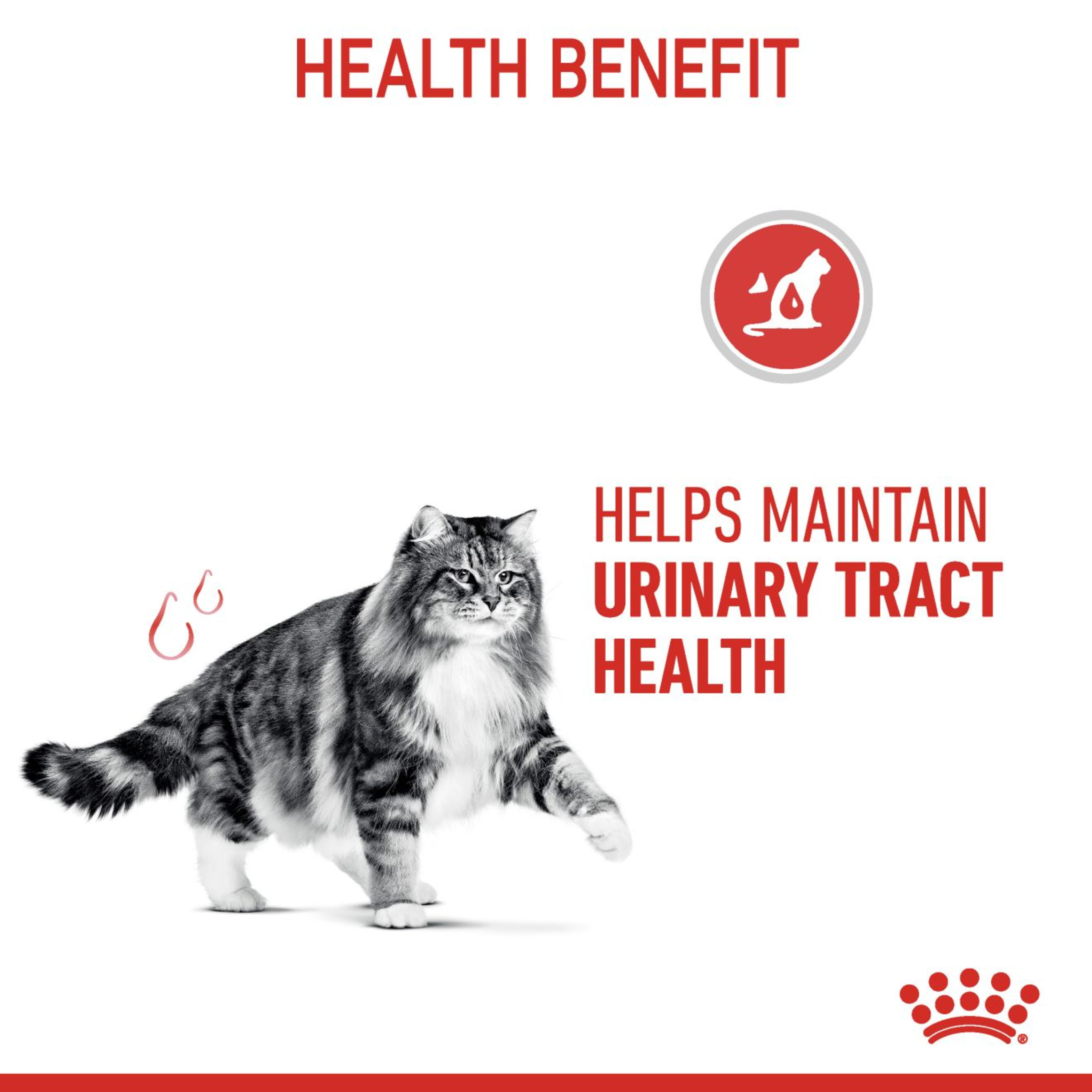 Royal Canin Urinary Care Wet Cat Food in Gravy 48x85g