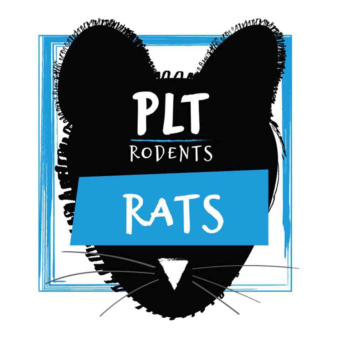 PLT Frozen Rat Small-Medium Reptile Food, 130g x 5 Pack