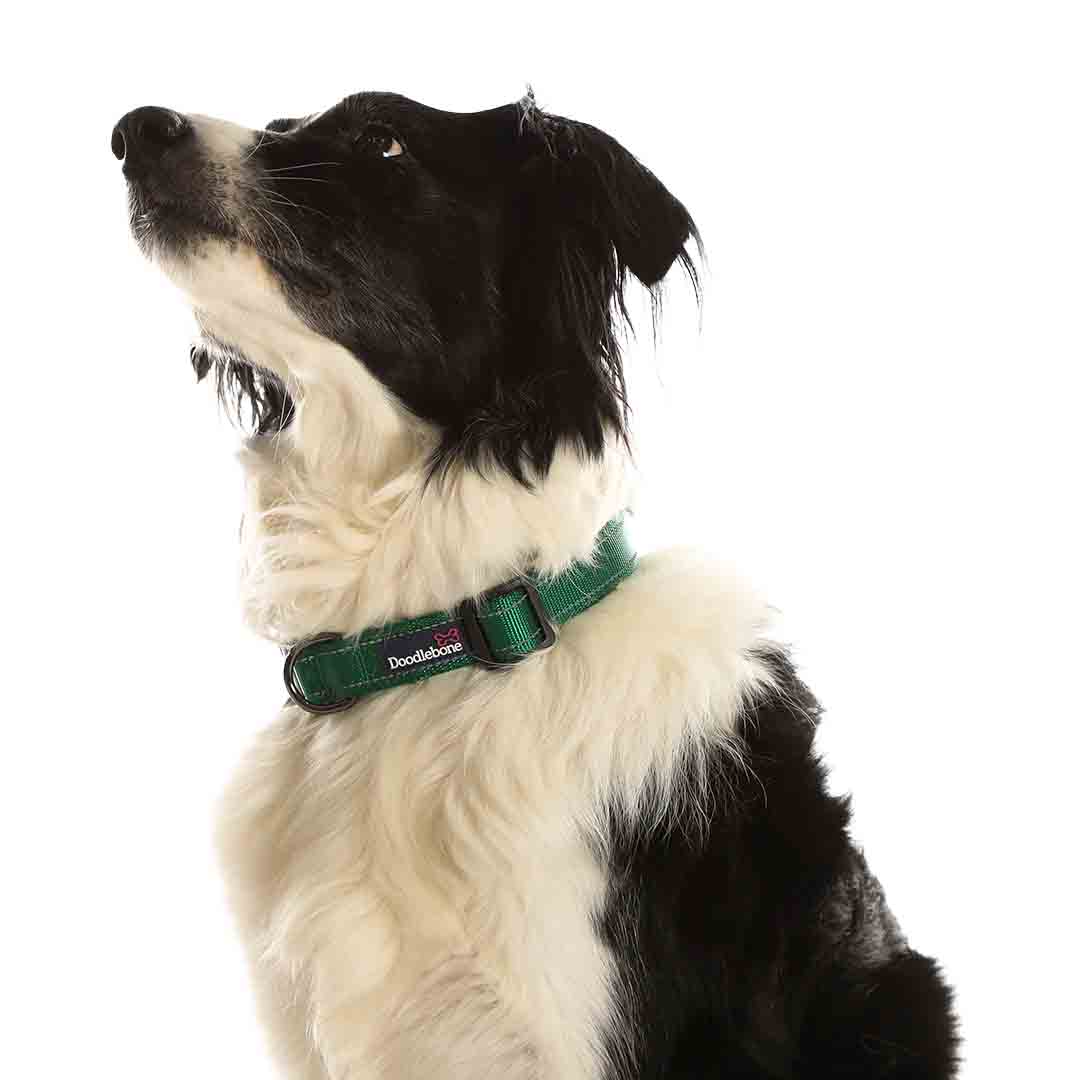 Doodlebone Trendy Tails Padded Dog Collar Green 3-6