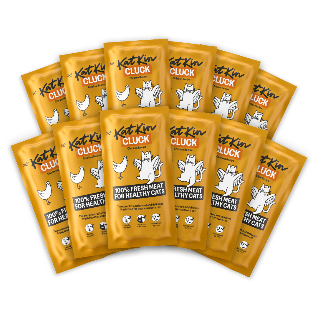KatKin BIG CLUCK Fresh Cat and Kitten Food, Multipack (Chicken) 12x80g